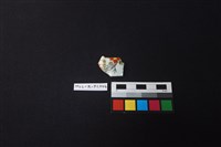 瓷杯藏品圖，第1張