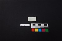 瓷片藏品圖，第2張