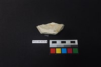 瓷片藏品圖，第1張