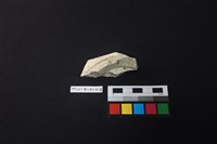 瓷片藏品圖，第3張