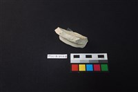 瓷片藏品圖，第4張