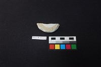 瓷碗藏品圖，第1張