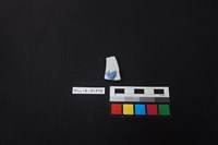 瓷片藏品圖，第1張