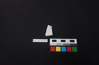 瓷片藏品圖，第2張