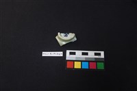 瓷杯藏品圖，第3張