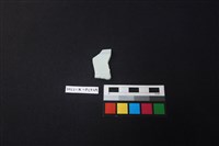 瓷片藏品圖，第2張