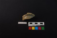 瓷碗藏品圖，第2張