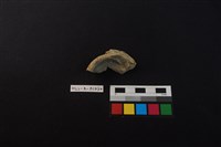 瓷碗藏品圖，第3張