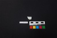 瓷片藏品圖，第2張