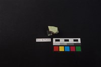 瓷片藏品圖，第1張