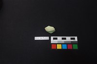 瓷片藏品圖，第4張