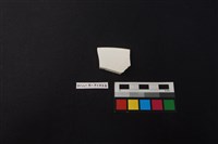 瓷片藏品圖，第2張