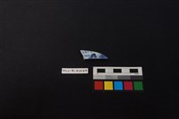 瓷片藏品圖，第1張