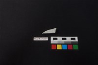 瓷片藏品圖，第2張