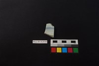 瓷片藏品圖，第2張