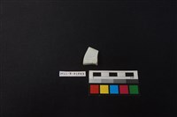 瓷片藏品圖，第2張