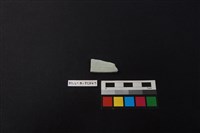 瓷片藏品圖，第2張