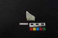 瓷片藏品圖，第1張