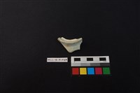 瓷片藏品圖，第1張