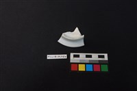 瓷杯藏品圖，第3張