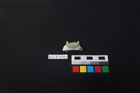 瓷杯藏品圖，第1張