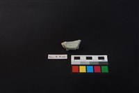 瓷杯藏品圖，第4張