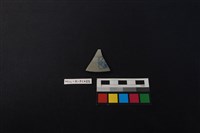 瓷片藏品圖，第1張