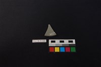 瓷片藏品圖，第2張