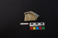 瓷碗藏品圖，第4張