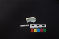 瓷盤藏品圖，第2張