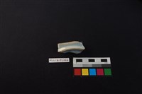 瓷盤藏品圖，第3張