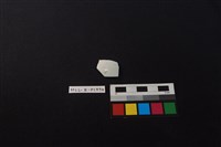 瓷片藏品圖，第1張