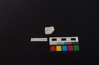 瓷片藏品圖，第2張