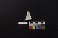 瓷片藏品圖，第2張