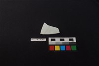 瓷杯藏品圖，第2張