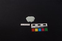 瓷片藏品圖，第2張