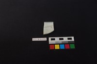 瓷片藏品圖，第2張