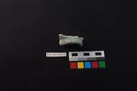 瓷碗藏品圖，第3張