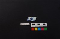 瓷片藏品圖，第1張