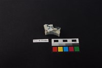 瓷碗藏品圖，第1張