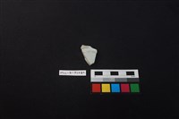 瓷片藏品圖，第2張