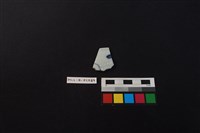 瓷片藏品圖，第2張