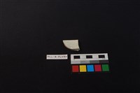 瓷片藏品圖，第2張