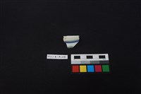 瓷片藏品圖，第4張