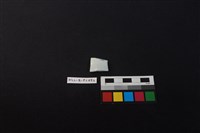 瓷片藏品圖，第1張