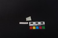 瓷片藏品圖，第2張