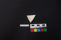 瓷片藏品圖，第2張