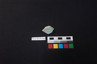 瓷片藏品圖，第2張