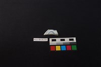 瓷片藏品圖，第1張