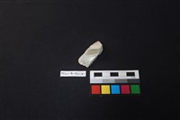 瓷片藏品圖，第2張